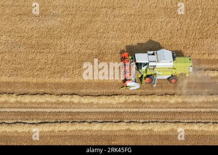 Vista aerea della mietitrebbiatrice che lavora su un campo. Copia spazio. Foto Stock