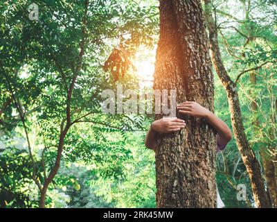 Le mani umane abbracciano un albero innamorato. Rappresentare contribuire a preservare l'ambiente. Concetto di salvare il mondo. Foto Stock
