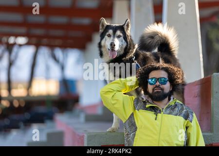 Un uomo ispanico che indossa una giacca gialla e occhiali da sole che tiene il guinzaglio del suo cane Alaskan Malamute Foto Stock