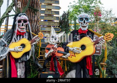 Dia de los Muertos (Day of the Dead) skeletons and sugar skulls, funny catrinas musicians playing guitar, Halloween decor in Old Town San Diego, Calif Stock Photo