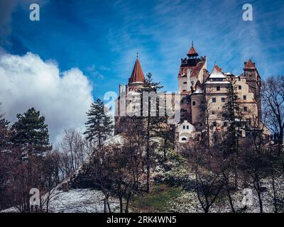 Il castello di Bran in Romania si erge in cima a una collina innevata, incorniciata da alti alberi frondosi Foto Stock