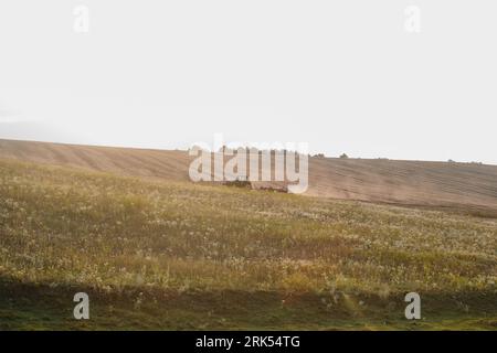 Un trattore moderno con un pesante erpice a disco trainato ara un campo di grano al tramonto. Foto Stock