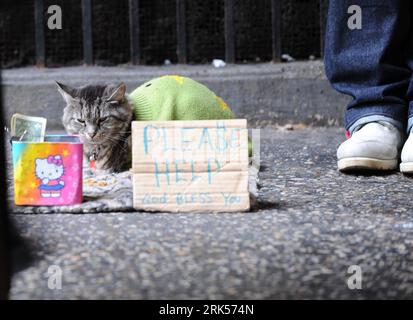 Bildnummer: 53714471 Datum: 08.01.2010 Copyright: imago/Xinhua (100108) -- NEW YORK, 8 gennaio 2010 (Xinhua) -- Un uomo disoccupato cadge con il suo gatto a Manhattan, New York, Stati Uniti, 8 gennaio 2010. Il tasso di disoccupazione negli Stati Uniti è rimasto invariato al 10% nel dicembre 2009, rispondendo alle aspettative degli economisti, secondo i dati del Dipartimento del lavoro pubblicati venerdì. (Xinhua/Shen Hong) (gxr) (1)Stati Uniti-NEW YORK-TASSO DI DISOCCUPAZIONE PUBLICATIONxNOTxINxCHN Gesellschaft Armut kbdig xkg 2010 quer o0 Betteln Schilder Tiere Katze Bildnummer 53714471 Data 08 01 2010 Copyright Imago XINHUA New York Jan 8 2010 XI Foto Stock