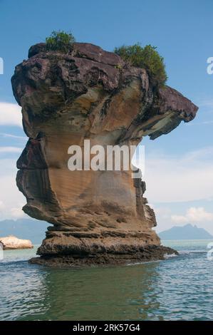 I suggestivi cumuli di arenaria distinguono le forme costiere del Parco Nazionale di Bako, Kuching, Sarawak, Borneo malese Foto Stock