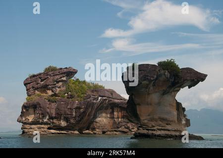 I suggestivi cumuli di arenaria distinguono le forme costiere del Parco Nazionale di Bako, Kuching, Sarawak, Borneo malese Foto Stock