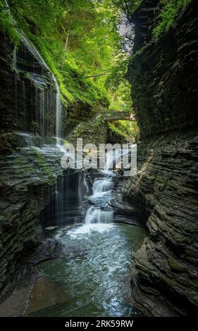 Una cascata che scorre attraverso la verde foresta nel mezzo della profonda gola del Watkins Glen State Park Foto Stock