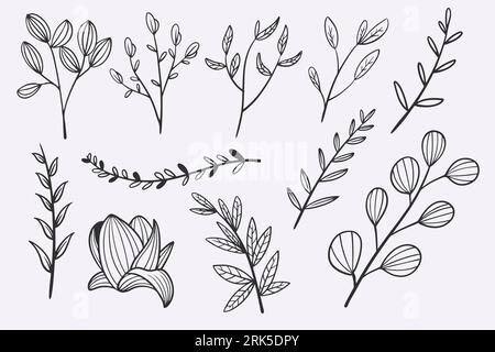 set di illustrazioni vettoriali disegnate a mano con foglie di fiori Illustrazione Vettoriale