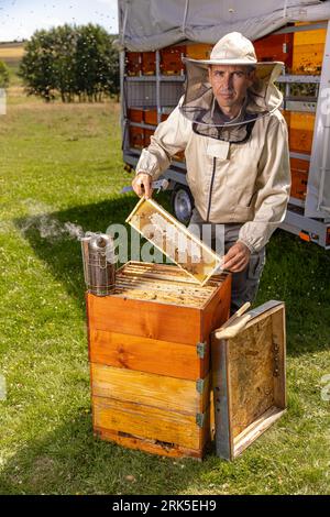Portrait of beekeeper holding a honeycomb full of bees. Foto Stock