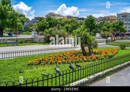 Letto di fiori in Piazza Spianada nel centro storico di Corfù, Isola di Corfù, Isole Ionie, Grecia Foto Stock