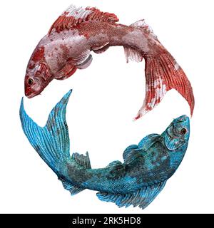 Rendering 3D di un segno zodiacale di pesci con pesci rossi e blu isolati su sfondo bianco Foto Stock