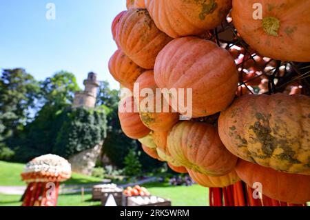 24 August 2023, Baden-Württemberg, Ludwigsburg: Figures made of pumpkins are set up in the park in the Blühenden Barock in Ludwigsburg as part of a pumpkin exhibition. (to dpa 'Hundreds of thousands of pumpkins again decorate the park in Ludwigsburg') Photo: Bernd Weißbrod/dpa Stock Photo