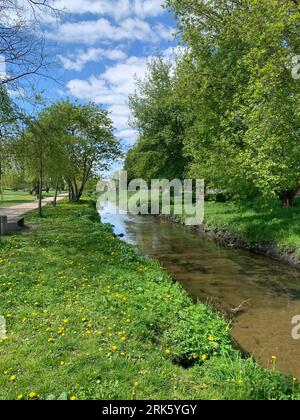 Un tranquillo corpo d'acqua si snoda attraverso un parco lussureggiante e tranquillo, circondato da prati verdeggianti e alberi alti Foto Stock