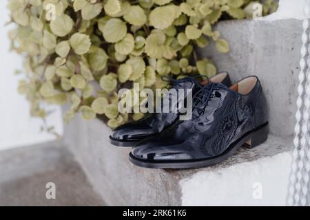 Un paio di scarpe nere posizionate sui gradini di una scala di cemento circondate da una vegetazione lussureggiante e da una parete di cemento sullo sfondo Foto Stock