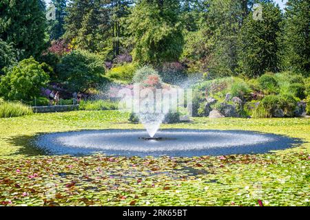 Livingstone Lake prende il nome da Bill Livingstone, il primo sovrintendente del VanDusen Botanical Garden, Vancouver, British Columbia, Canada. Foto Stock