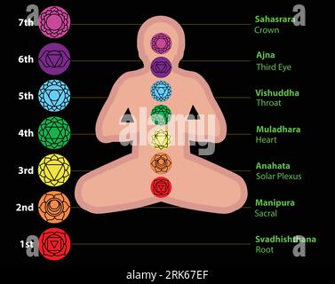 Sette chakra sulla silhouette yogi meditata. Questi sono simboli di religione, filosofia e spiritualità. illustrazione vettoriale. Illustrazione Vettoriale