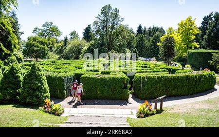 Labirinto elisabettiano al VanDusen Botanical Garden, Vancouver, British Columbia, Canada. È costituito da 3000 cedri piramidali piantati nel 1981. Foto Stock