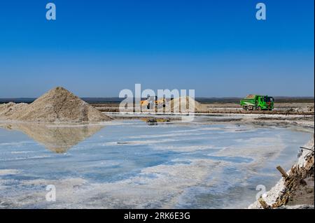 ORDOS, CINA - 24 AGOSTO 2023 - i veicoli lavorano presso la fabbrica di sale Beidechi di Ordos, Mongolia interna, Cina, 24 agosto 2023. L'azienda di sale Beidechi è stata Foto Stock