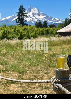 Un ambiente rustico all'aperto con una recinzione in legno con un bicchiere di birra Foto Stock