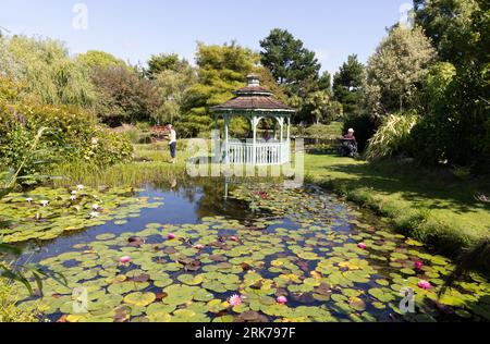 I visitatori dei Bennetts Water Gardens, un giardino di ninfee con diversi stagni di ninfee; in estate, Weymouth Dorset UK. Turismo del Dorset Foto Stock