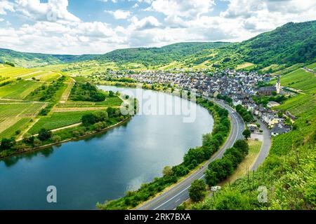 Breve tour alla scoperta della regione della Mosella vicino a Bremm - Renania-Palatinato - Germania Foto Stock