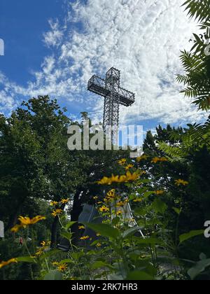 Canada, Québec, montréal, Arbres centre ville e parc du Mont Royal. Promenade, vert, poumon de la ville de Montréal hauteur de la ville croix dans le Foto Stock