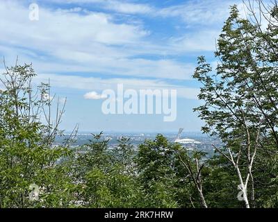 Canada, Québec, montréal, Arbres centre ville e parc du Mont Royal. Promenade, vert, poumon de la ville de Montréal hauteur de la ville croix dans le Foto Stock