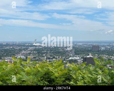 Canada, Québec, montréal, Arbres centre ville e parc du Mont Royal. Promenade, vert, poumon de la ville de Montréal hauteur de la ville croix dans le Foto Stock