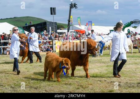 West Bay, Dorset, Regno Unito. 24 agosto 2023. Il bestiame nella Grand Parade of Animals al Melplash Agricultural Show a West Bay vicino Bridport nel Dorset, in un pomeriggio di caldi incantesimi soleggiati. Foto: Graham Hunt/Alamy Live News Foto Stock