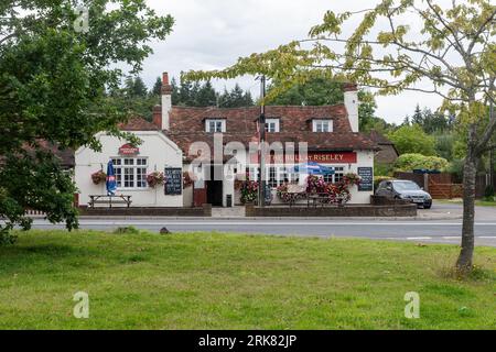The Bull at Riseley, un pub Shepherd Neame nel villaggio di Riseley sul confine del Berkshire Hampshire, Inghilterra, Regno Unito Foto Stock