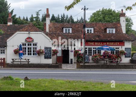 The Bull at Riseley, un pub Shepherd Neame nel villaggio di Riseley sul confine del Berkshire Hampshire, Inghilterra, Regno Unito Foto Stock