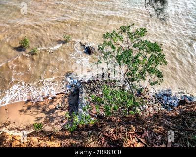 Una vista panoramica della lussureggiante spiaggia di sabbia di Port Dickson a Negeri Sembilan, Malesia Foto Stock