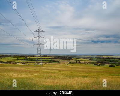 Una vista panoramica di piloni elettrici e torri in un lussureggiante campo verde con una serie di montagne lontane sullo sfondo Foto Stock