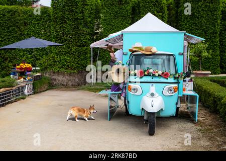 Antico vicolo motorizzato della tradizione italiana decorato con fiori Foto Stock