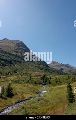 Green mountain landscape at high altitude with few pine trees and a small stream winding down the moss and grass land under blue sky at staller pass Stock Photo