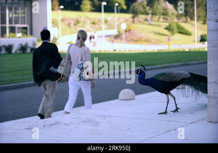 Bildnummer: 54129442 Datum: 09.06.2010 Copyright: imago/Xinhua (100609) -- GINEVRA, 9 giugno 2010 (Xinhua) -- Un pavone passeggia al Palazzo delle Nazioni di Ginevra, Svizzera, 7 giugno 2010. Il Palazzo delle Nazioni di Ginevra fu costruito tra il 1929 e il 1936 come sede della società delle Nazioni. Ha servito come sede dell'Ufficio delle Nazioni Unite a Ginevra dal 1946, quando il segretario generale delle Nazioni Unite ha firmato l'accordo di sede con le autorità svizzere, anche se la Svizzera non è diventata membro delle Nazioni Unite fino al 2002. (Xinhua/Yu Yang) (Aceria) (6)SVIZZERA-GINEVRA-THE PALACE OF NATIONS PUB Foto Stock