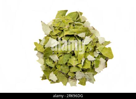 Tussilago farfarfara essiccato (tosse, pianta di cenere, farfarfarfara) comunemente noto come coltsfoot creduto essere rimedio naturale alla tosse. Foto Stock