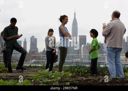 Bildnummer: 54148515 Datum: 23.05.2010 Copyright: imago/Xinhua (100616) -- NEW YORK, 16 giugno 2010 (Xinhua) -- Stand at the Eagle Street Rooftop Farm with the Manhattan skyline as the background in Brooklyn borough in New York, Stati Uniti, 23 maggio 2010. Sulla costa dell'East River e con una vista mozzafiato dello skyline di Manhattan, Eagle Street Rooftop Farm è un'azienda agricola biologica di 6.000 piedi quadrati (circa 557 metri quadrati) con tetto verde situata in cima a un magazzino a Greenpoint, Brooklyn. (Xinhua/Liu Xin)(zx) (5)U.S.-NEW YORK-ORGANIC FARM-ROOFTOP PUBLICATIONxNOTxINxCHN Fotostory Ök Foto Stock