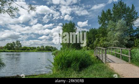 Splendido parco paesaggistico, chiamato Het Abtwoudse Bos, al confine con la città di Delft, Paesi Bassi. La foresta con molti torrenti d'acqua e piccolo brid Foto Stock