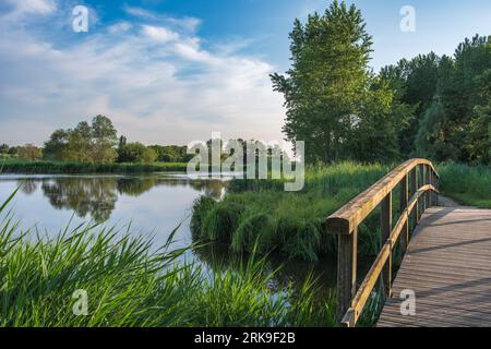 Splendido parco paesaggistico, chiamato Het Abtwoudse Bos, al confine con la città di Delft, Paesi Bassi. La foresta con molti torrenti d'acqua e piccolo brid Foto Stock