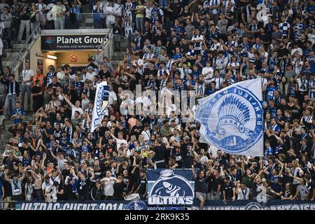 Gent, Belgio. 24 agosto 2023. I tifosi di Gent raffigurati durante una partita di calcio tra il belga KAA Gent e il cipriota APOEL FC Nicosia, giovedì 24 agosto 2023 a Gent, la prima tappa dei play-off per la UEFA Europa Conference League. BELGA PHOTO TOM GOYVAERTS Credit: Belga News Agency/Alamy Live News Foto Stock