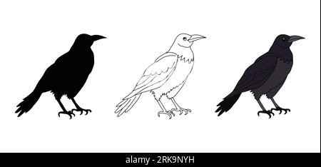 Black crow or raven. Contour, silhouette, crow in color. Vector isolated on white. Wild bird. A pet. Cartoon style. Badge, icon, emblem, textile, prin Stock Vector