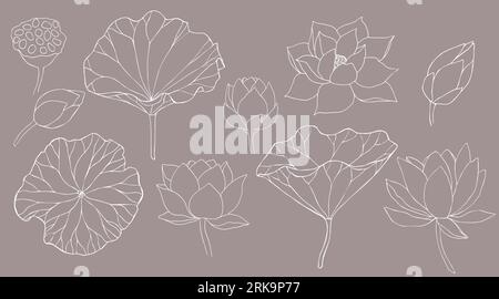 Set di fiori di loto e boccioli disegnati a mano vettoriali illustrazioni grafiche con linee nere. Disegno floreale per logo, tatuaggio, packaging Illustrazione Vettoriale