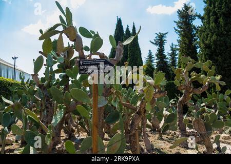 Balchik, Bulgaria - 22 agosto 2023. Giardino botanico di Balchik, famosa attrazione turistica in Bulgaria Foto Stock