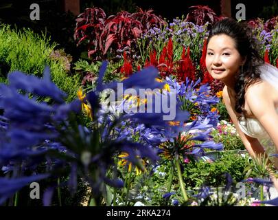 Bildnummer: 54258581 Datum: 27.07.2010 Copyright: imago/Xinhua (100727) -- LHASA, 27 luglio 2010 (Xinhua) -- Una ragazza di Pechino posa per foto accanto a un parterre a Lhasa, capitale della regione autonoma del Tibet della Cina sud-occidentale, 27 luglio 2010. Con l'avvicinarsi dello Shoton (yogurt) Festival, un totale di 100.000 vasi di fiori sono stati utilizzati recentemente per decorare piazze e strade di Lhasa. Il Festival Shoton del gruppo etnico tibetano viene celebrato nella stagione migliore di un anno sotto forma di mangiare yogurt, apprezzare l'opera Zang e tenere mostre di statue buddiste. (Xinhua/Chog Foto Stock