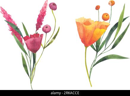 Set di bouquet vettoriale con papavero Eschscholzia, echinacea, fiori cosmici con fiori secchi. illustrazione acquerello isolata su sfondo bianco a. Illustrazione Vettoriale