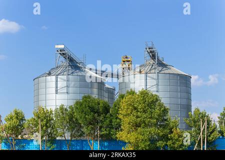 Moderno ascensore Granary e linea per la pulizia dei semi. Silos argentei su agro-processing e impianto di produzione per stoccaggio e lavorazione essiccazione pulizia di Foto Stock