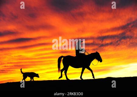 Bildnummer: 54462674  Datum: 21.09.2010  Copyright: imago/Xinhua (100924) -- HOHHOT, Sept. 24, 2010 (Xinhua) -- A herdsman rides a horse in the sunset glow in the Dahinggan Mountains in Ergune, north China s Inner Mongolia Autonomous Region, on Sept. 21, 2010. Dahinggan Mountains, extending some 1200km, is one of the largest forest zones in China. (Xinhua/Ren Junchuan) (wxy) CHINA-INNER MONGOLIA-DAHINGGAN MOUNTAINS (CN) PUBLICATIONxNOTxINxCHN Reisen Asien kbdig xmk 2010 quer o0 Reiter, Pferd, Tiere, Hund, Cowboy, Abendrot, Himmel, Silhouette, Romantik, Ruhe, Feierabend    Bildnummer 54462674 D Stock Photo