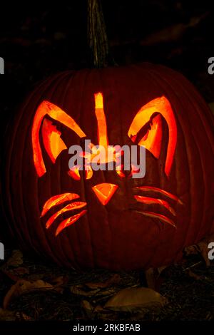 N. Cat. Zucca intagliata a tema Halloween. Stoddard Avenue Pumpkin Glow. Dayton, Ohio, USA. Foto Stock