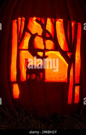 Finestra con gatto e luna. Zucca intagliata a tema Halloween. Stoddard Avenue Pumpkin Glow. Dayton, Ohio, USA. Foto Stock