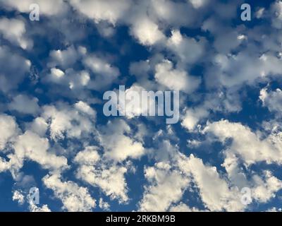 Palm Springs, California, USA. 23 agosto 2023. Nuvole sopra Palm Springs subito dopo l'alba. (Immagine di credito: © Ian L. Sitren/ZUMA Press Wire) SOLO USO EDITORIALE! Non per USO commerciale! Foto Stock